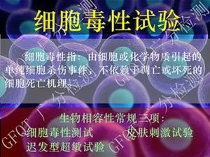 杭州市化妆品皮肤刺激性测试 生物相容性检验