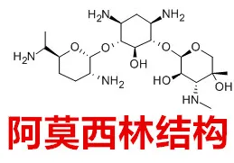 结构图_副本