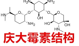 结构图_副本